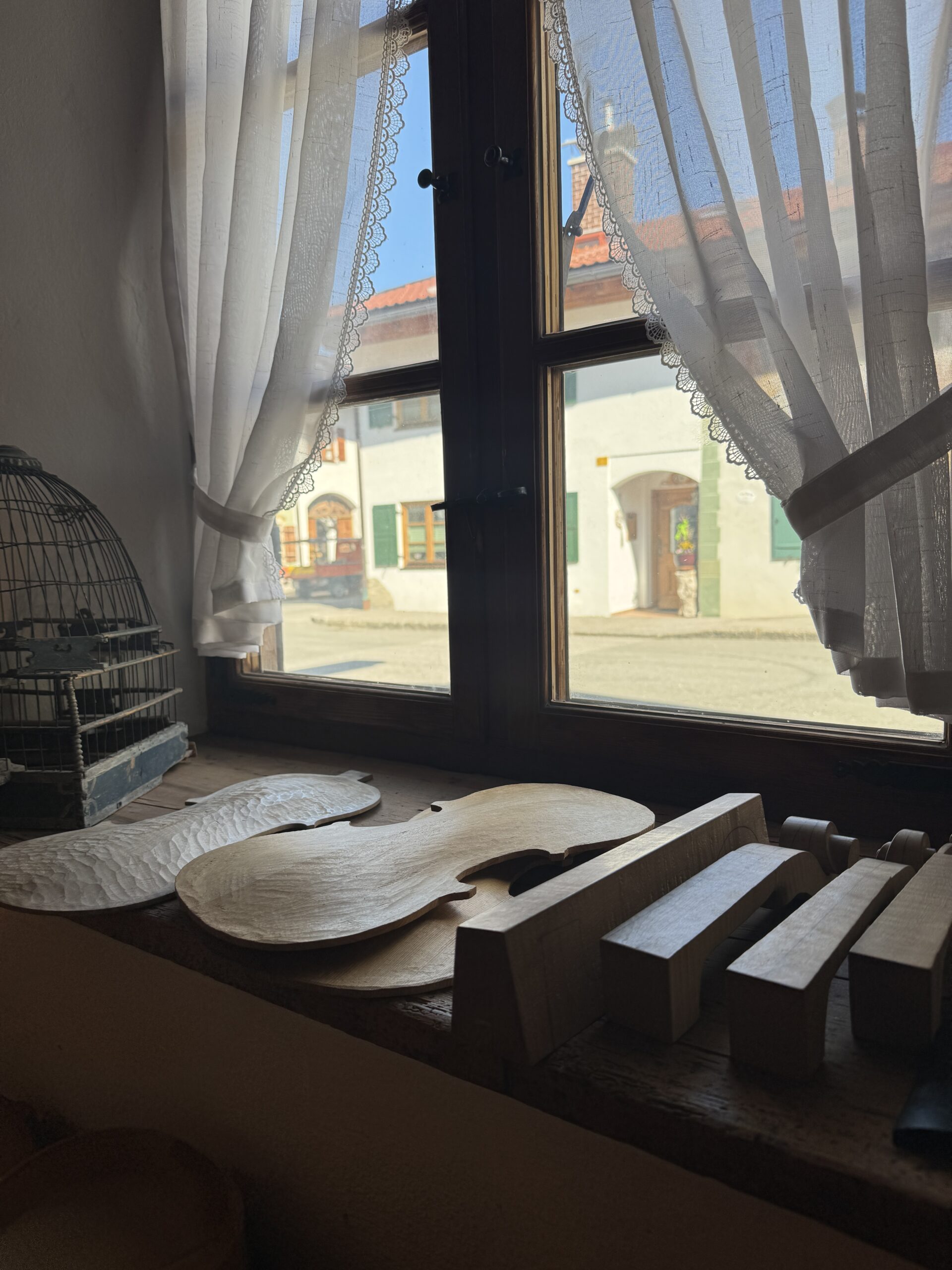 IMG4681 - 希爾提琴HEL VOLINS