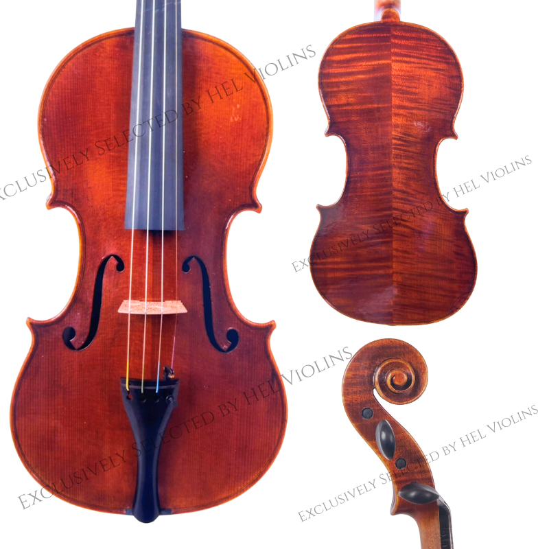 Adriano Spadoni Vn 1 - 希爾提琴HEL VOLINS