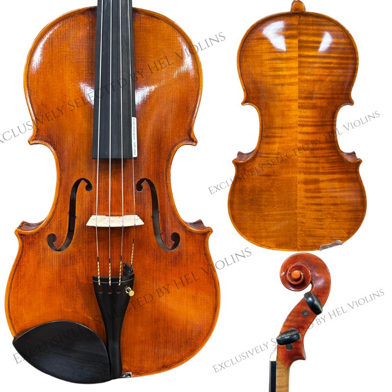 Dimitri Va 16 - 希爾提琴HEL VOLINS