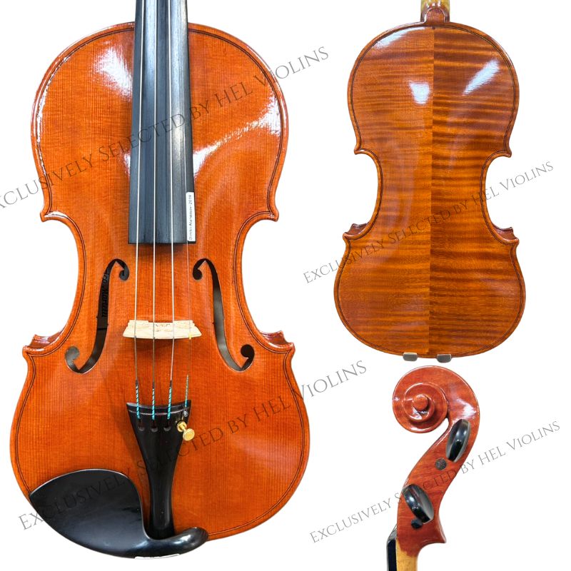 Dimitri Vn - 希爾提琴HEL VOLINS