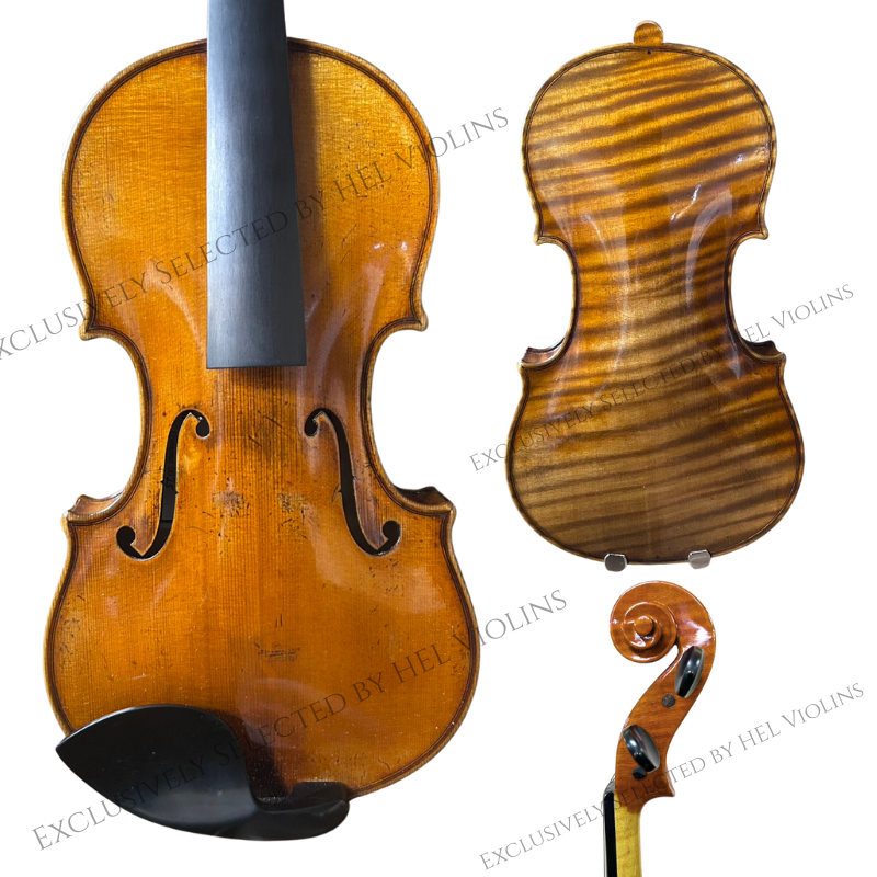 MARTINI GREGORIO VC - 希爾提琴HEL VOLINS