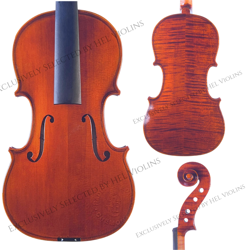 Radiana Edrev Va 2021 2 - 希爾提琴HEL VOLINS