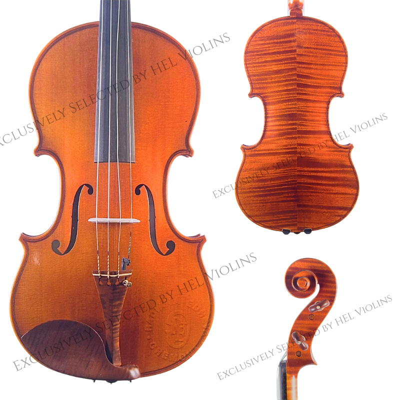 Radiana Edrev Vn 2021 - 希爾提琴HEL VOLINS