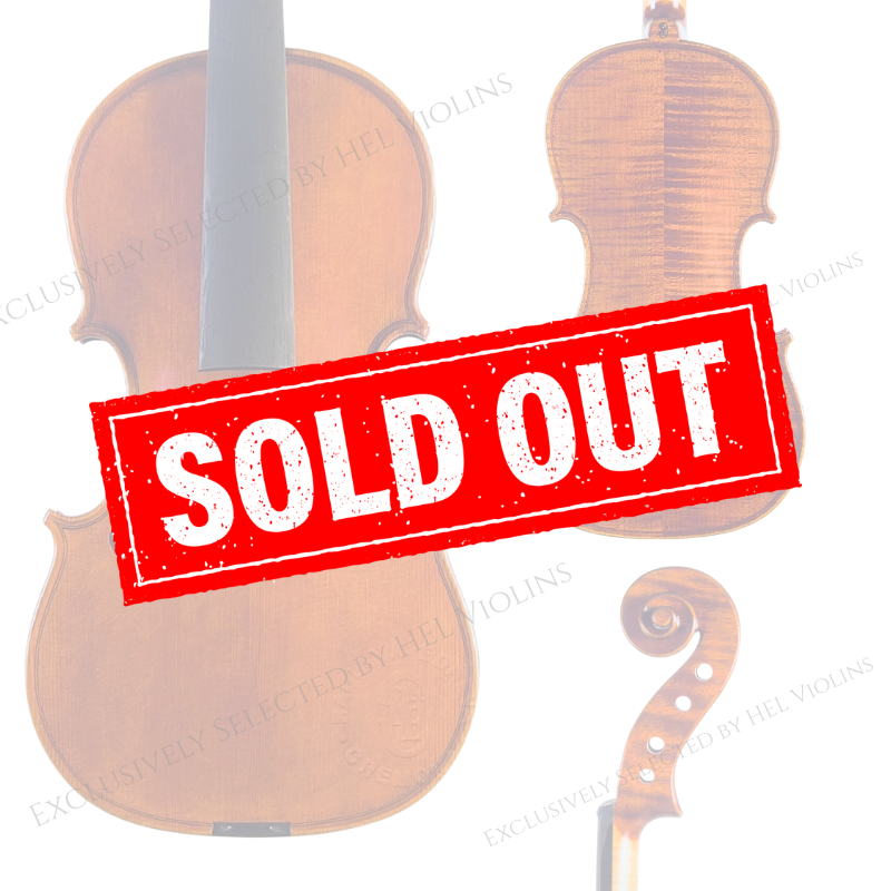 Radiana Edrev Vn 2024 - 希爾提琴HEL VOLINS