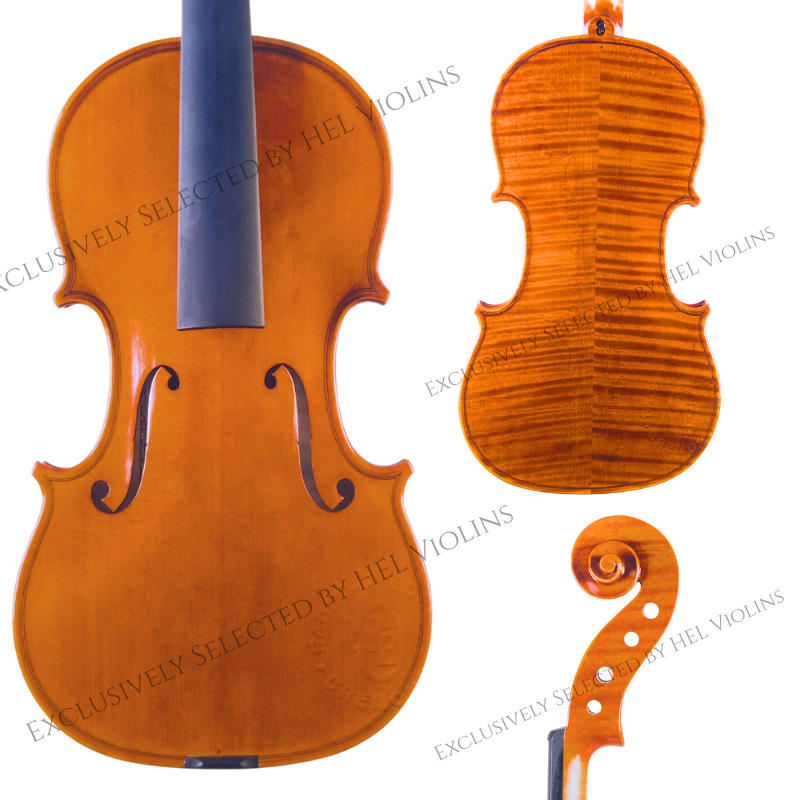 Radiana Edrev Vn 2025 - 希爾提琴HEL VOLINS