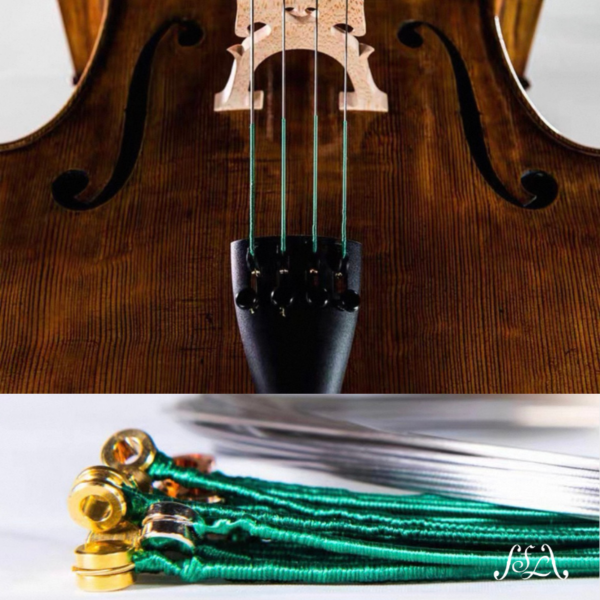 Dominant 24 | 希爾提琴 HEL Violins