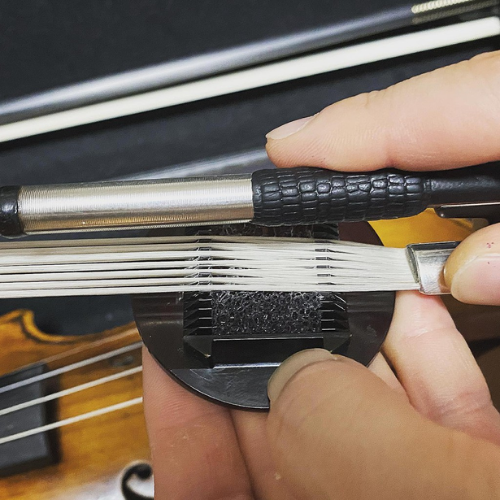 Cecilia Rosin 13 - 希爾提琴HEL VOLINS