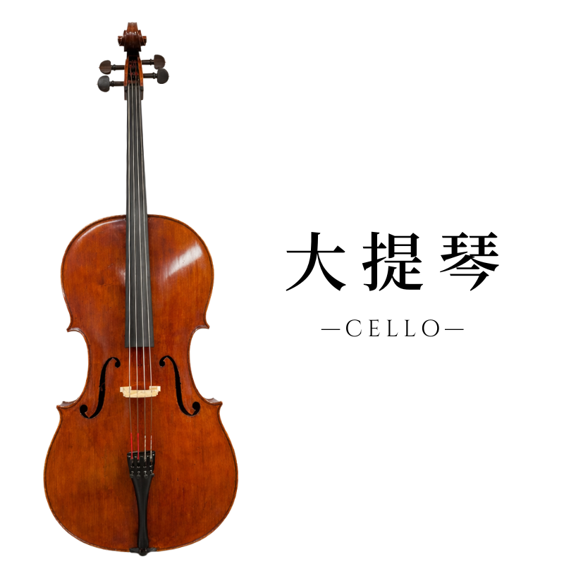 希爾提琴 HEL Violins ｜台灣專業提琴選琴・琴弦配件・維修調整 -
