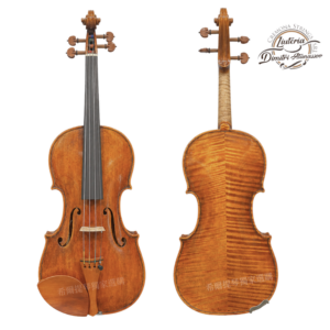Two violins shown side by side: the left is facing forward, the right from the back, both with warm amber varnish and visible wood grain; logo in the upper‑right corner.