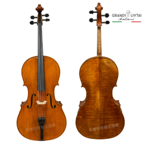 Two violins shown on a white background—front view on the left and back view on the right, highlighting f-holes, bridge, strings on the front, and the flame maple back; logo in the top-right corner.