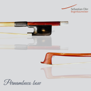 Pernambuco violin bow on a light gray background with its reflection, showing the stick and tip; text reads 'Pernambuco bow' in cursive at bottom left.