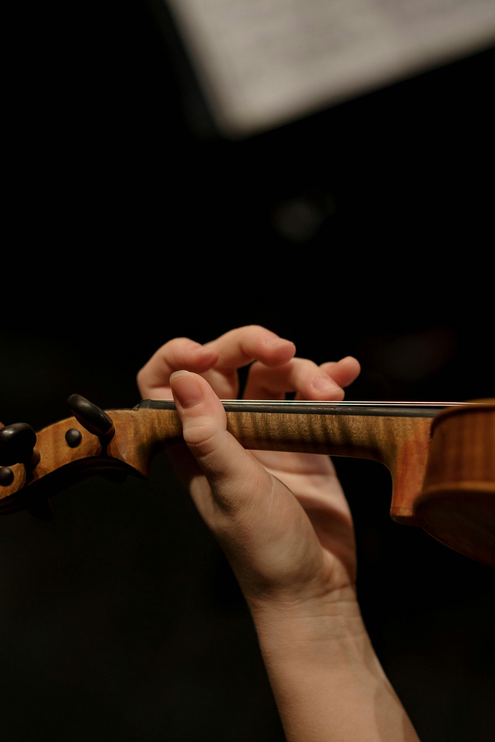 Photo by cottonbro studio - 希爾提琴HEL VOLINS Detailed view of fingers playing a violin during a live performance.